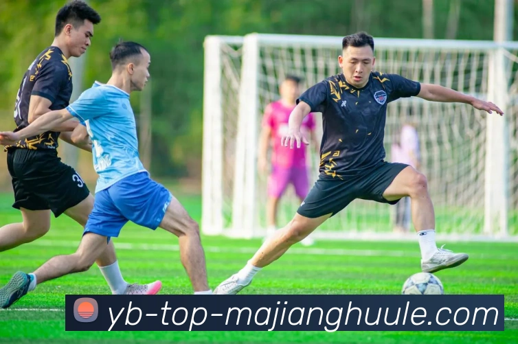 App Interface Preview