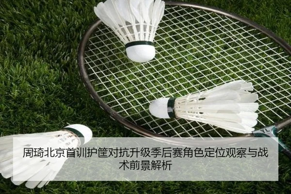周琦北京首训护筐对抗升级季后赛角色定位观察与战术前景解析（PGSoft）